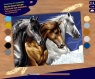 Sequin Art Набор для творчества PAINTING BY NUMBERS SENIOR Wild Horses