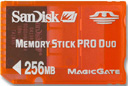 SanDisk SDMSG-256-E10.jpg